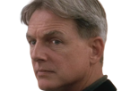 leroy-jethro-gibbs-gibs-ncis-agent-special-moupe-homme-acteur-americain-mark-harmon-cinquantenaire-cinquantaine