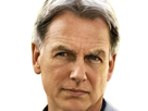 leroy-jethro-gibbs-gibs-ncis-agent-special-moupe-homme-acteur-americain-mark-harmon-cinquantenaire-cinquantaine