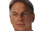 leroy-jethro-gibbs-gibs-ncis-agent-special-moupe-homme-acteur-americain-mark-harmon-cinquantenaire-cinquantaine