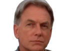leroy-jethro-gibbs-gibs-ncis-agent-special-moupe-homme-acteur-americain-mark-harmon-cinquantenaire-cinquantaine