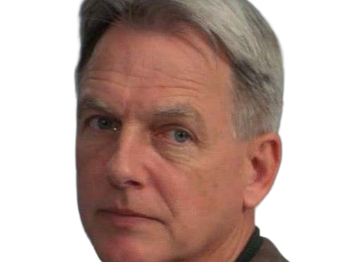 leroy jethro gibbs gibs ncis agent special moupe homme acteur americain mark harmon cinquantenaire cinquantaine