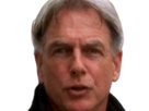 leroy-jethro-gibbs-gibs-ncis-agent-special-moupe-homme-acteur-americain-mark-harmon-cinquantenaire-cinquantaine