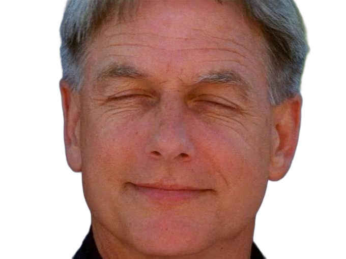 leroy jethro gibbs gibs ncis agent special moupe homme acteur americain mark harmon cinquantenaire cinquantaine