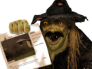 fou-du-village-dream-cash-annonce-immobiliere-maison-zinzin-tare-sorcier-sorciere-risitas-deforme-halloween