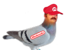 pigeon-risitas-nintendo-fan-fans-casquette-mario