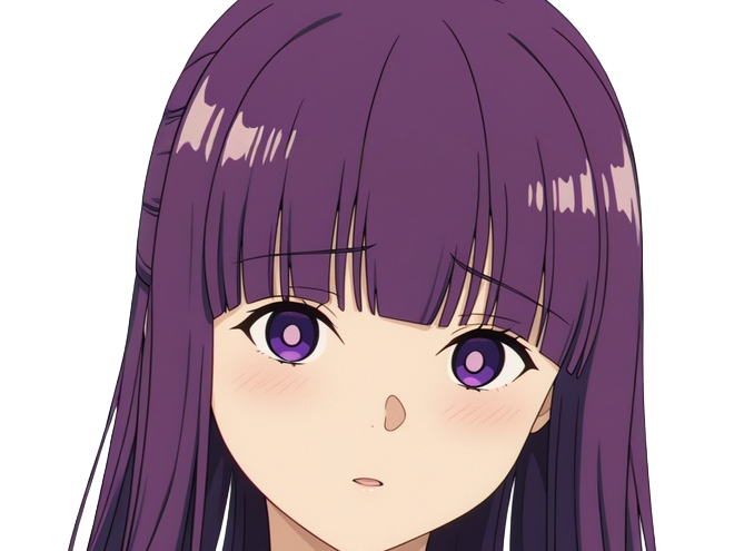 fern sousou-no-frieren frieren-beyond-journeys-end frieren anime manga orpheline mage apprentie humaine fille femme waifu cheveux-violets yeux-violets