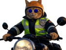 chat-agent-de-police-policier-flic-gilbert-uniforme-moto-scooter-lunettes-bleues