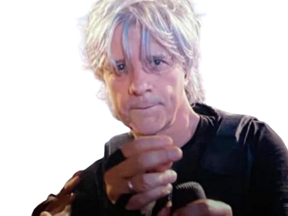 nicola sirchis sirkis chanteur compositeur francais indochine pop rock guitariste musicien