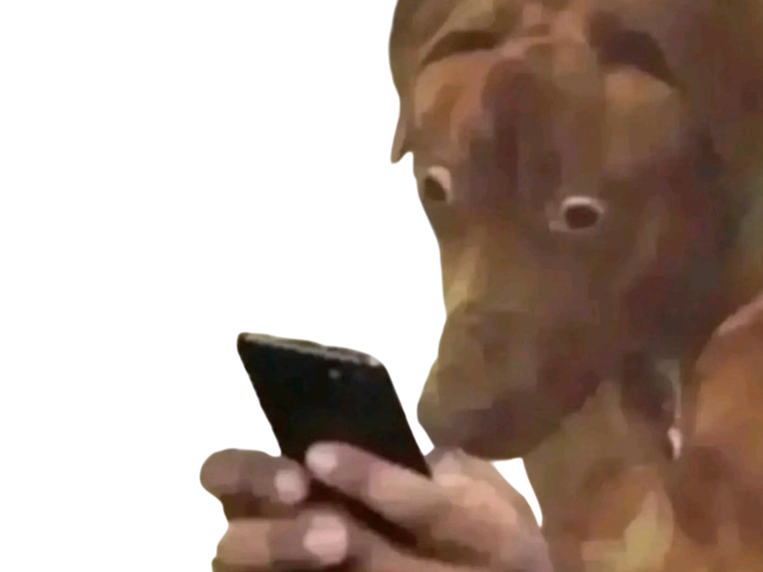 chien telephone reseaux sociaux gros yeux peur crainte trouble wtf what bordel quoi hein