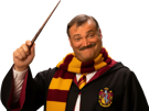 risitas-harry-potter-poudlard-baguette-gryffondor-ecole-eggish-fart-prof-magie-rogue-souvenir-leviosa