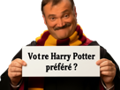 risitas-harry-potter-poudlard-baguette-gryffondor-ecole-eggish-fart-prof-magie-rogue-hermione-sondage-question