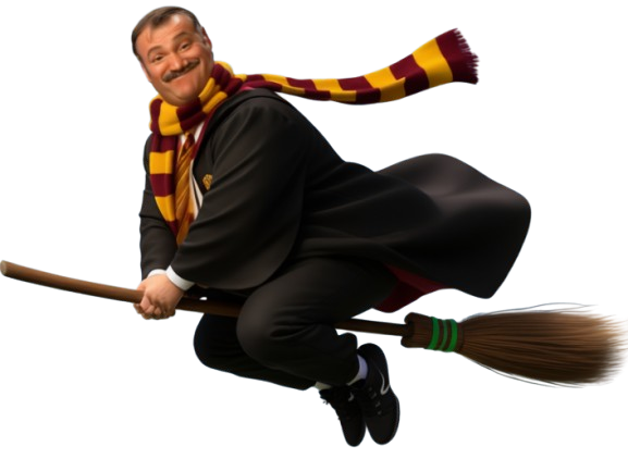 risitas harry potter balais quidditch vif or vol sorcier ahi aya hermione magie course gryffondor