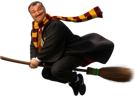 risitas-harry-potter-balais-quidditch-vif-or-vol-sorcier-ahi-aya-hermione-magie-course-gryffondor