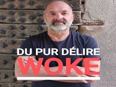 du pur delire woke utter nonsense jugement absurdite absurde sarcasme sarcastique meme