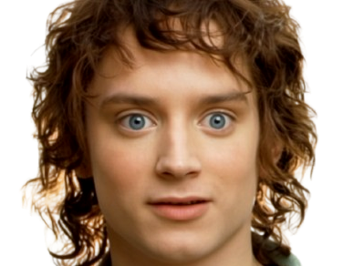 frodon sacquet lsda lotr seigneur anneaux lord rings yeux bleus aigle roue feu saquet