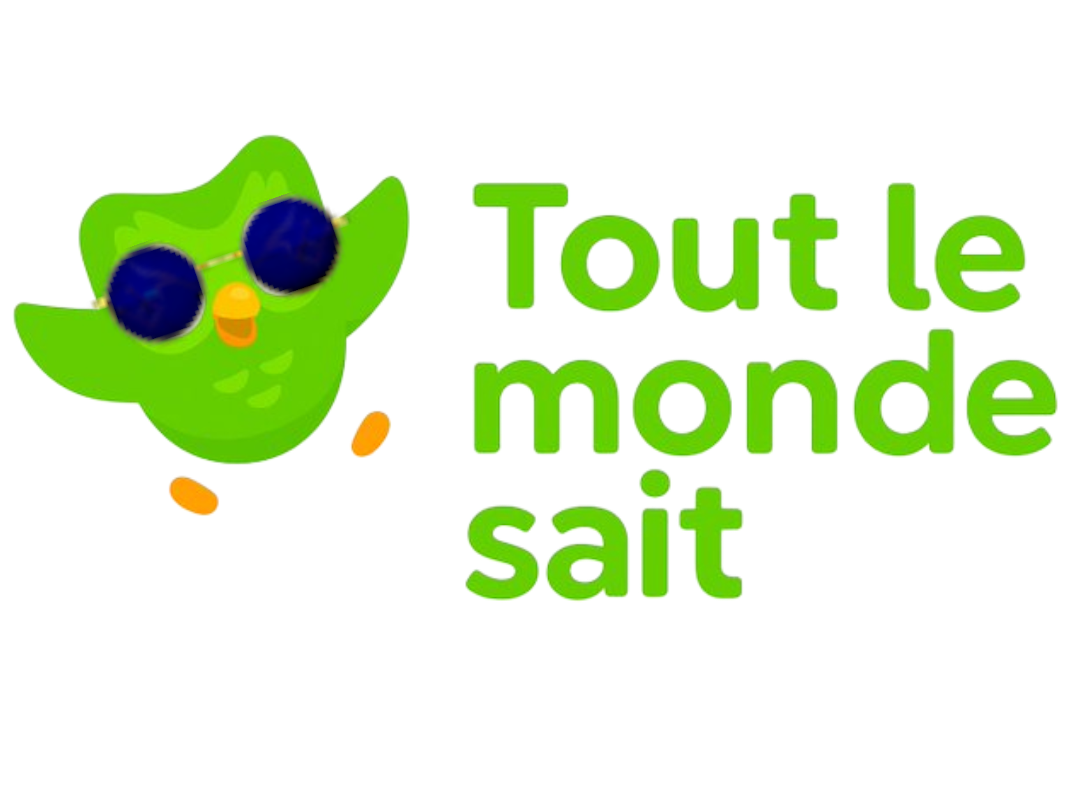 duolingo mascotte hibou chouette tout le monde sait tlms redpill lunettes bleues