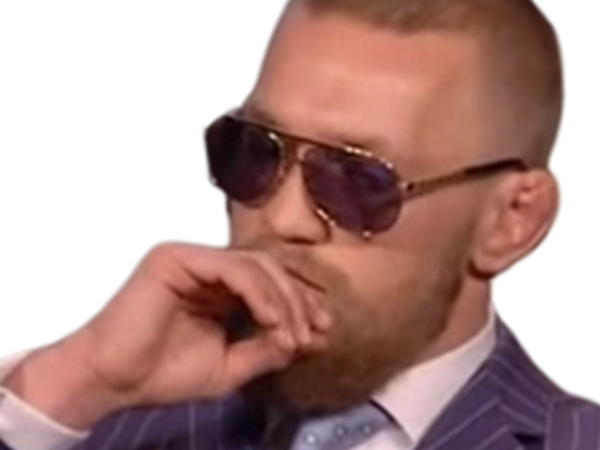conor mcgregor ufc mma zoom