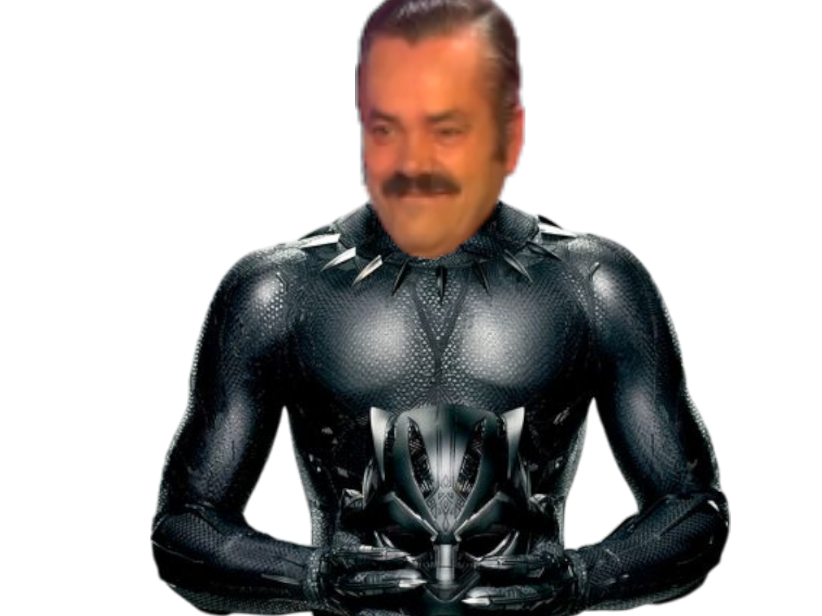 risitas black panther panthere sourire metis noir afrique africain