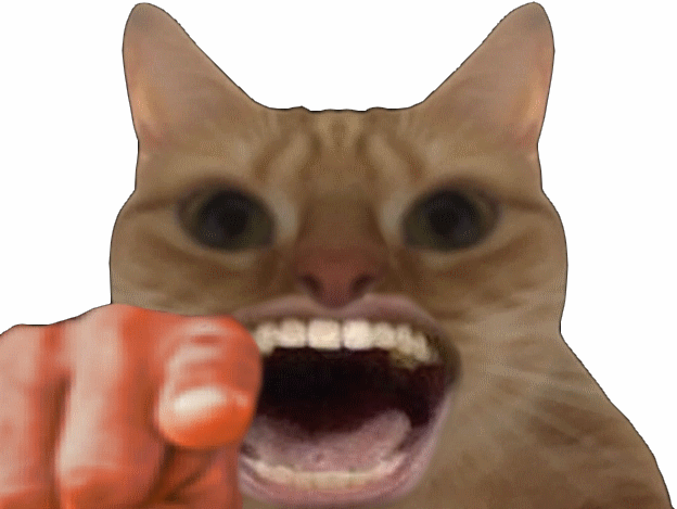 chat qui rigole moquer