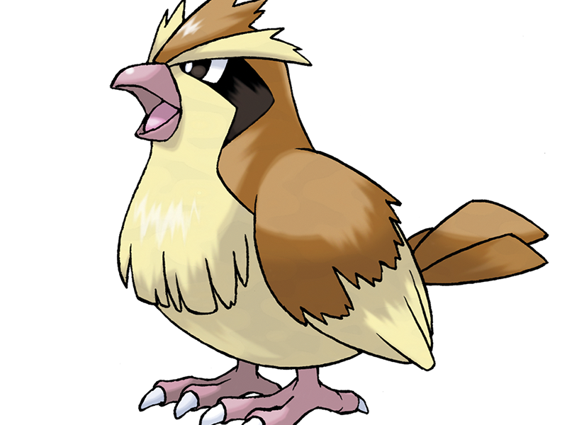 roucool pidgey poppo pokemon pkm jeu anime type normal vol 1g kanto minoiseau