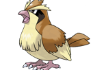 roucool-pidgey-poppo-pokemon-pkm-jeu-anime-type-normal-vol-1g-kanto-minoiseau