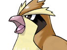 roucool-pidgey-poppo-pokemon-pkm-jeu-anime-type-normal-vol-1g-kanto-minoiseau