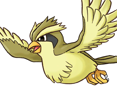 roucool pidgey poppo pokemon pkm jeu anime type normal vol 1g kanto minoiseau