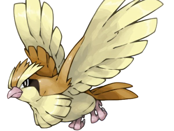 roucool pidgey poppo pokemon pkm jeu anime type normal vol 1g kanto minoiseau