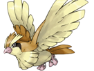 roucool-pidgey-poppo-pokemon-pkm-jeu-anime-type-normal-vol-1g-kanto-minoiseau