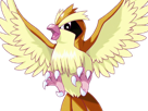 roucool-pidgey-poppo-pokemon-pkm-jeu-anime-type-normal-vol-1g-kanto-minoiseau