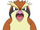 roucool-pidgey-poppo-pokemon-pkm-jeu-anime-type-normal-vol-1g-kanto-minoiseau