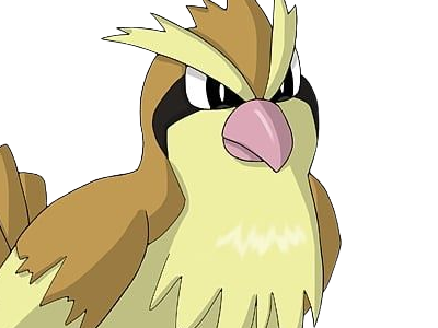 roucool pidgey poppo pokemon pkm jeu anime type normal vol 1g kanto minoiseau