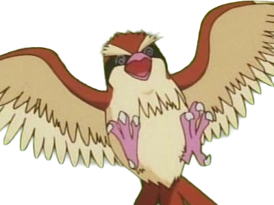 roucool pidgey poppo pokemon pkm jeu anime type normal vol 1g kanto minoiseau