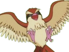 roucool-pidgey-poppo-pokemon-pkm-jeu-anime-type-normal-vol-1g-kanto-minoiseau
