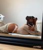 femme cul