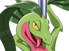 massko-pokemon-grovyle-juptile