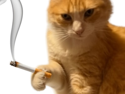 chat roux justice prison condamner bezier remy ceci this remi