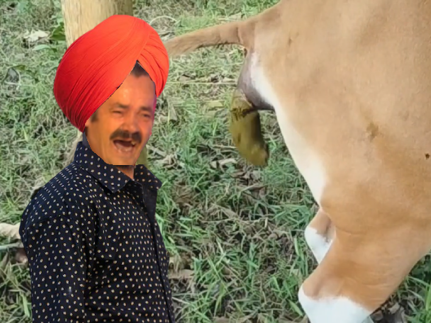 inde gange merde vache bouse turban indien crotte pelouse risitas r3 nnn nut november