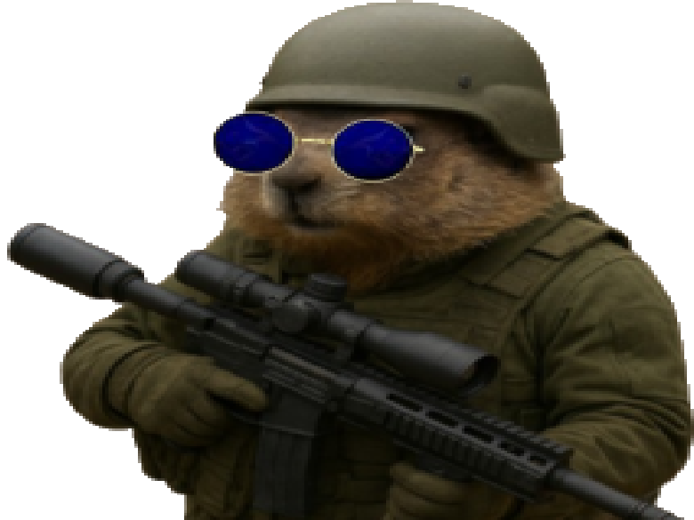 marmotte marmottebivouac nnn2025