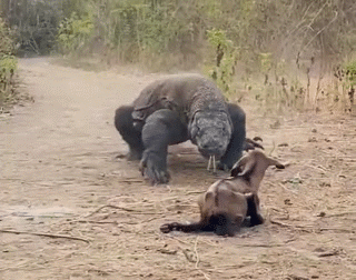 avale dej goute midi pred plat dine yum gobe meal 4h slurp hungry drag veau