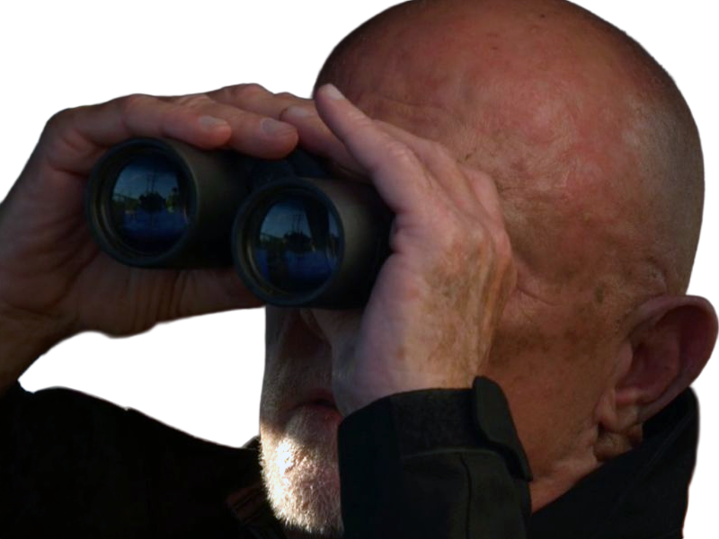 mike ehrmantraut breaking-bad better-call-saul serie jonathan banks homme acteur americain vieux soixantenaire sexagenaire crane-rase yeux-bleus