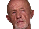 mike-ehrmantraut-breaking-bad-better-call-saul-serie-jonathan-banks-homme-acteur-americain-vieux-soixantenaire-sexagenaire-crane-rase-yeux-bleus