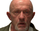 mike-ehrmantraut-breaking-bad-better-call-saul-serie-jonathan-banks-homme-acteur-americain-vieux-soixantenaire-sexagenaire-crane-rase-yeux-bleus