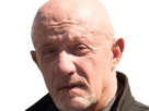 mike-ehrmantraut-breaking-bad-better-call-saul-serie-jonathan-banks-homme-acteur-americain-vieux-soixantenaire-sexagenaire-crane-rase-yeux-bleus