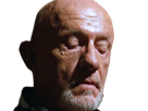 mike-ehrmantraut-breaking-bad-better-call-saul-serie-jonathan-banks-homme-acteur-americain-vieux-soixantenaire-sexagenaire-crane-rase-yeux-bleus