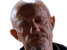 mike-ehrmantraut-breaking-bad-better-call-saul-serie-jonathan-banks-homme-acteur-americain-vieux-soixantenaire-sexagenaire-crane-rase-yeux-bleus