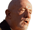 mike-ehrmantraut-breaking-bad-better-call-saul-serie-jonathan-banks-homme-acteur-americain-vieux-soixantenaire-sexagenaire-crane-rase-yeux-bleus