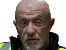 mike-ehrmantraut-breaking-bad-better-call-saul-serie-jonathan-banks-homme-acteur-americain-vieux-soixantenaire-sexagenaire-crane-rase-yeux-bleus