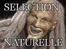 stargate-atlantis-selection-naturelle-wraith
