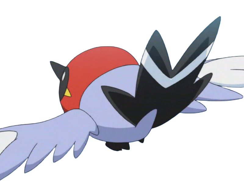 passerouge fletchling yayakoma pokemon pkm jeu anime type normal vol 6g kalos rougegorge